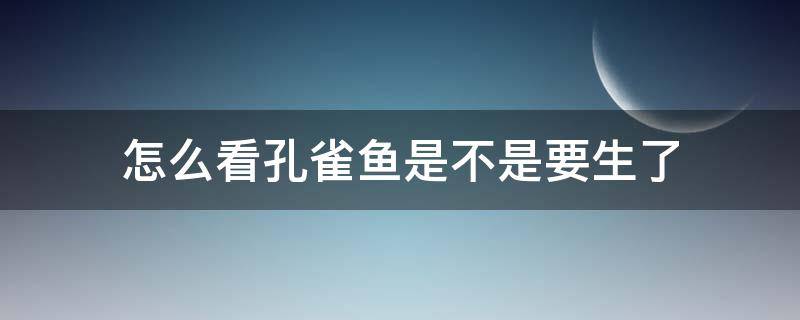 怎么看孔雀鱼是不是要生了 如何看出孔雀鱼要生了