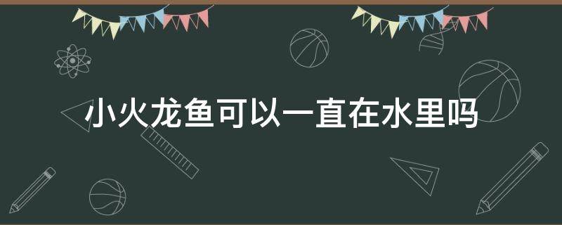 小火龙鱼可以一直在水里吗 小火龙鱼离开水能活吗