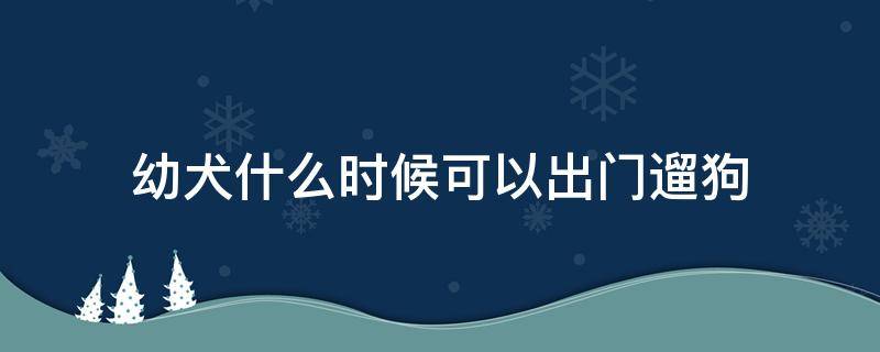 幼犬什么时候可以出门遛狗（幼犬什么时候可以带出门遛狗）