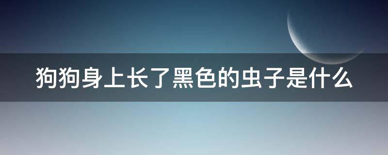 狗狗身上长了黑色的虫子是什么（狗狗身上长了黑色的虫子是什么原因）