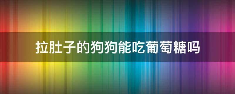 拉肚子的狗狗能吃葡萄糖吗 狗狗拉肚子可以吃葡萄糖吗