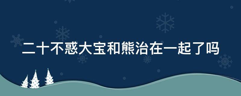 二十不惑大宝和熊治在一起了吗（二十不惑 大熊）