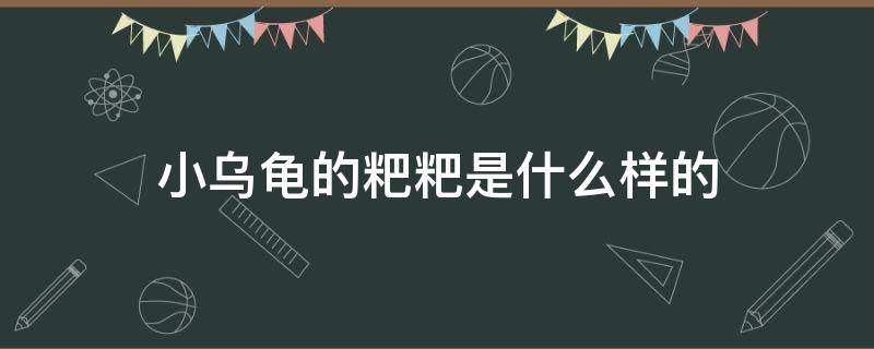 小乌龟的粑粑是什么样的（乌龟粑粑长啥样）