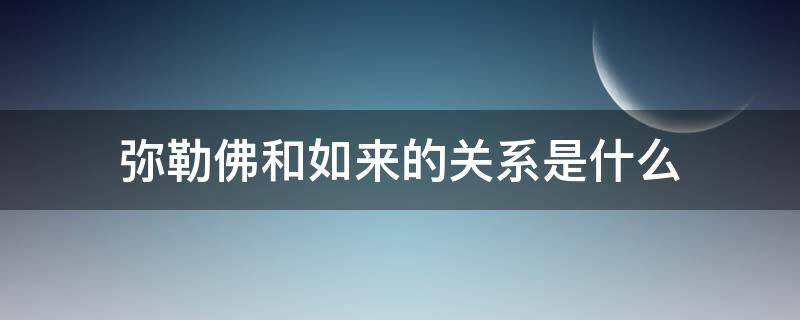 弥勒佛和如来的关系是什么（正法如来和弥勒佛祖的关系）