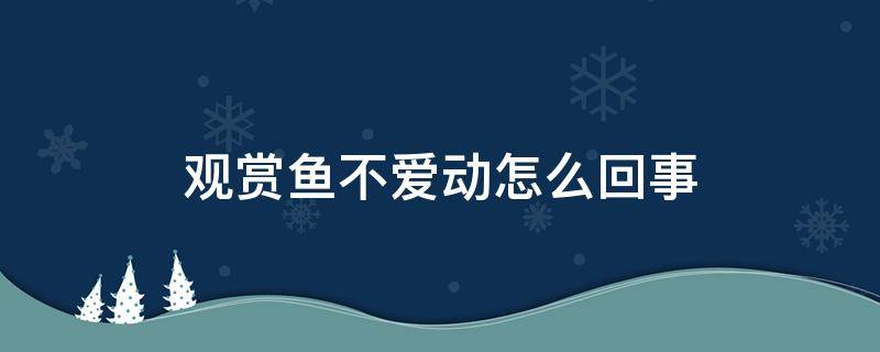 观赏鱼不爱动怎么回事（鱼不爱动了是什么症状）