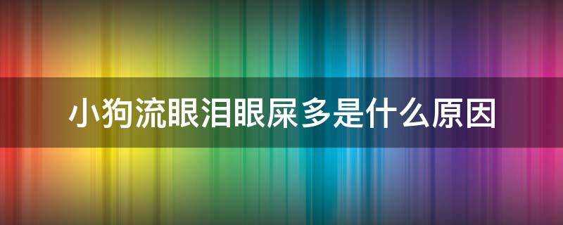 小狗流眼泪眼屎多是什么原因 狗狗眼屎多流眼泪是什么原因