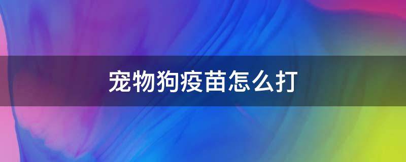 宠物狗疫苗怎么打（宠物狗打疫苗怎么打）