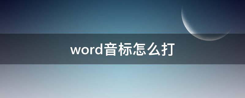 word音标怎么打 word里怎么打出音标