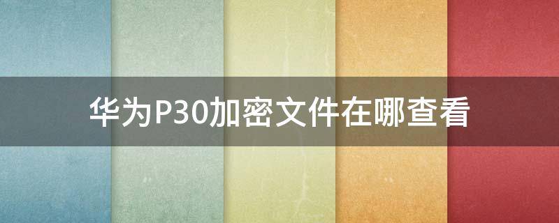 华为P30加密文件在哪查看（华为p30保存的密码在哪里查看）