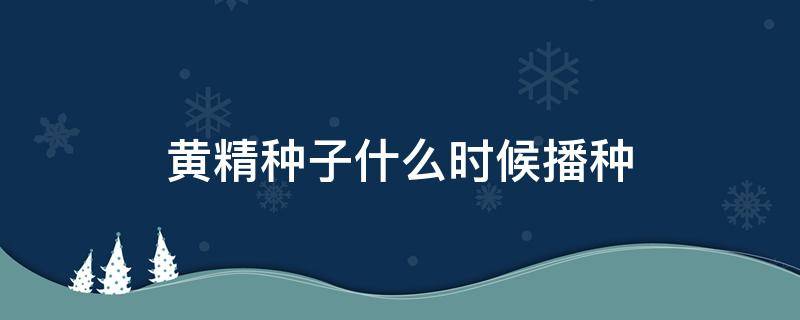 黄精种子什么时候播种 黄精什么时候种植最好