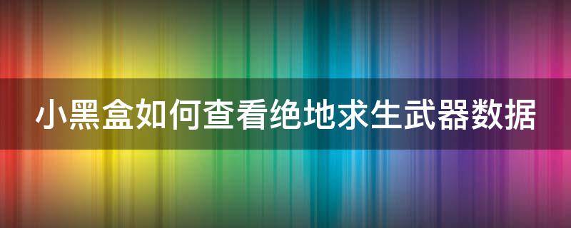 小黑盒如何查看绝地求生武器数据 小黑盒如何查看绝地求生武器数据信息