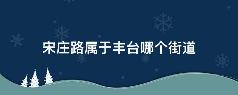 宋庄路属于丰台哪个街道 丰台区宋家庄路属于哪个街道