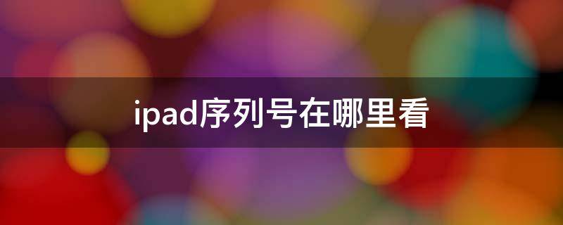 ipad序列号在哪里看（ipad怎么看序列号在哪里看）