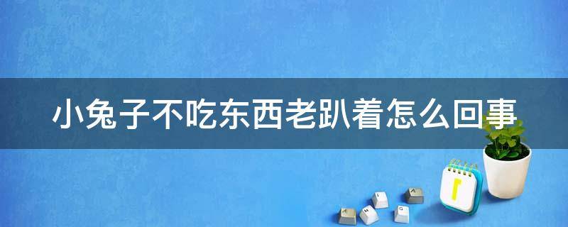 小兔子不吃东西老趴着怎么回事（兔子临死前最明显症状）