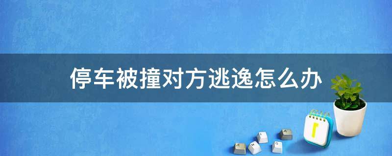 停车被撞对方逃逸怎么办 车停着被撞了对方逃逸的处理方法