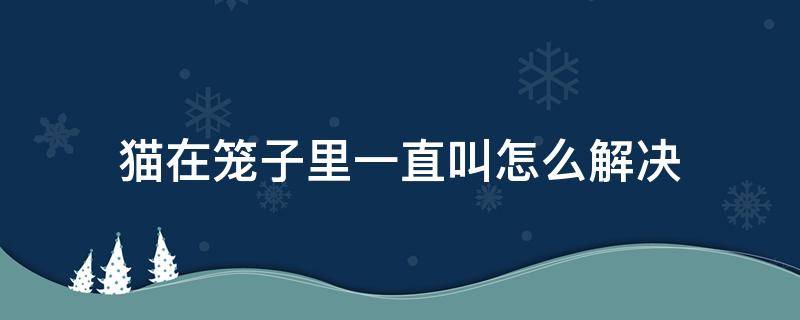 猫在笼子里一直叫怎么解决（猫在笼子里一直叫怎么回事）