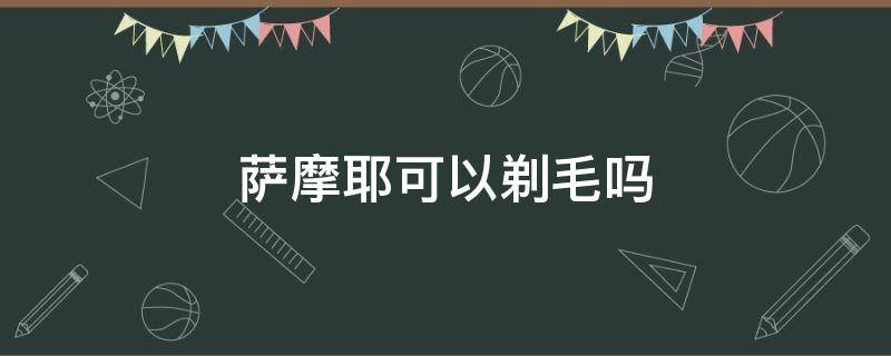 萨摩耶可以剃毛吗（萨摩耶剃毛好吗）