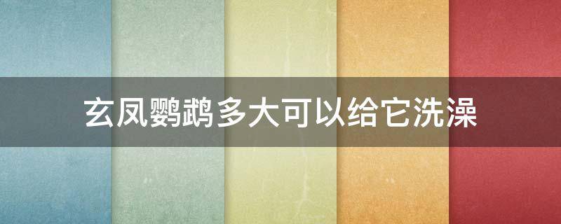 玄凤鹦鹉多大可以给它洗澡（多大的玄凤鹦鹉可以洗澡）