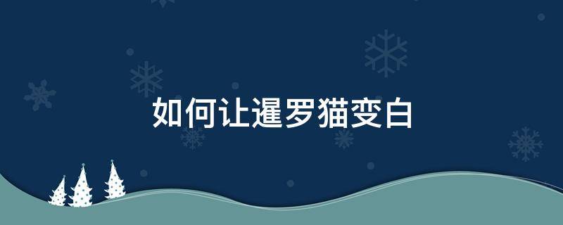 如何让暹罗猫变白（怎样让暹罗猫变白）