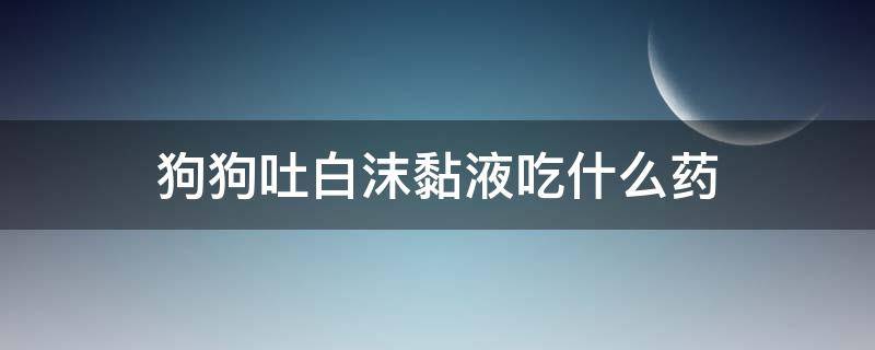 狗狗吐白沫黏液吃什么药 狗狗一直吐白沫粘稠吃啥药