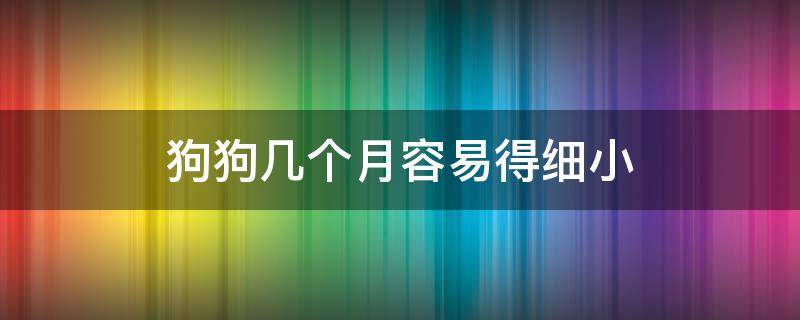 狗狗几个月容易得细小 狗狗几个月的时候容易得细小