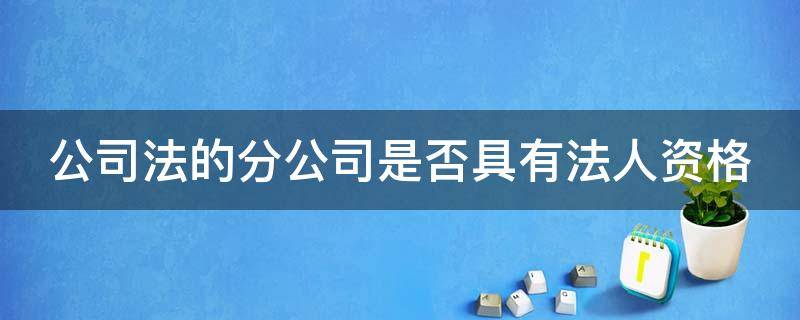 公司法的分公司是否具有法人资格 分公司具有法人地位吗