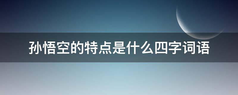 孙悟空的特点是什么四字词语（用四字词形容孙悟空的特点）