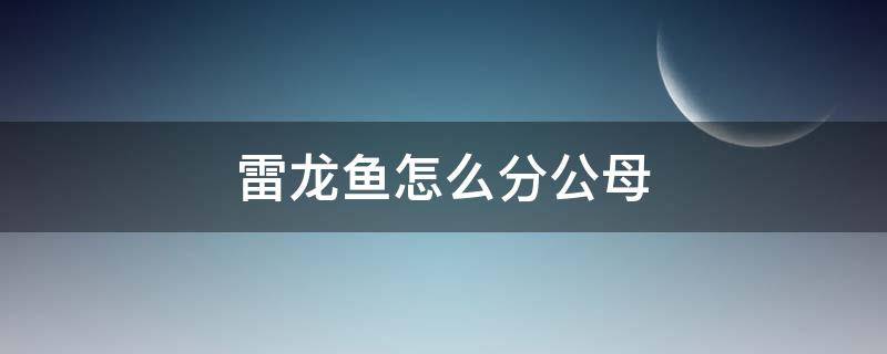 雷龙鱼怎么分公母（眼镜蛇雷龙鱼怎么分公母）