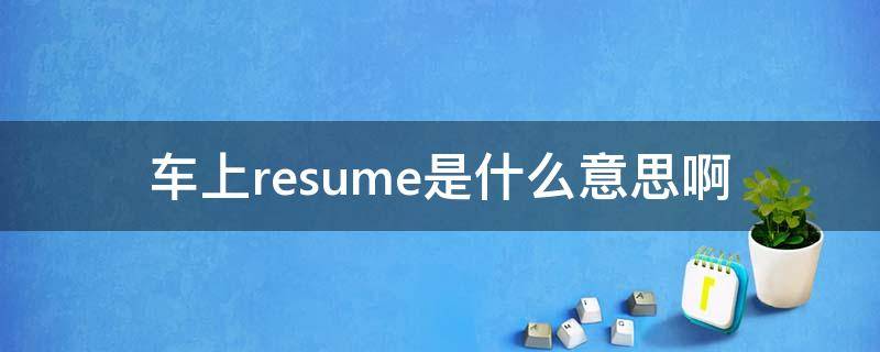 车上resume是什么意思啊（车上的resume）