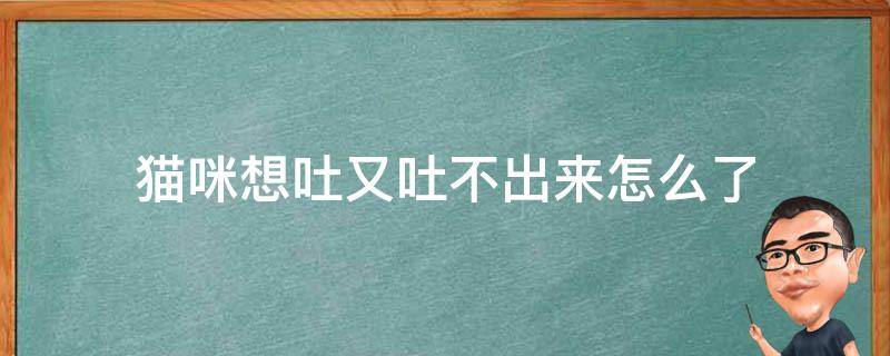 猫咪想吐又吐不出来怎么了 猫咪一直想吐又吐不出来