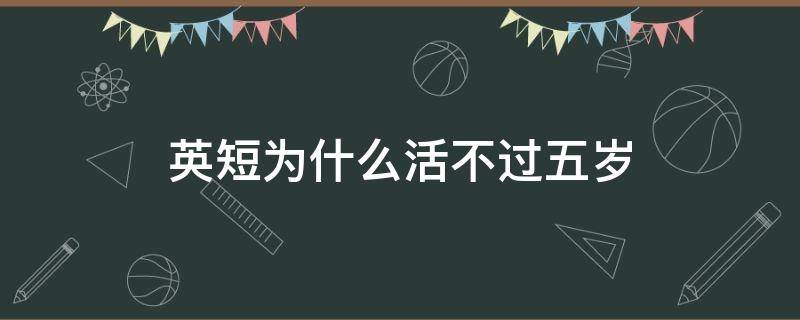 英短为什么活不过五岁 英短蓝白为什么活不过五岁