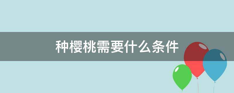 种樱桃需要什么条件（盆栽樱桃需要什么条件）