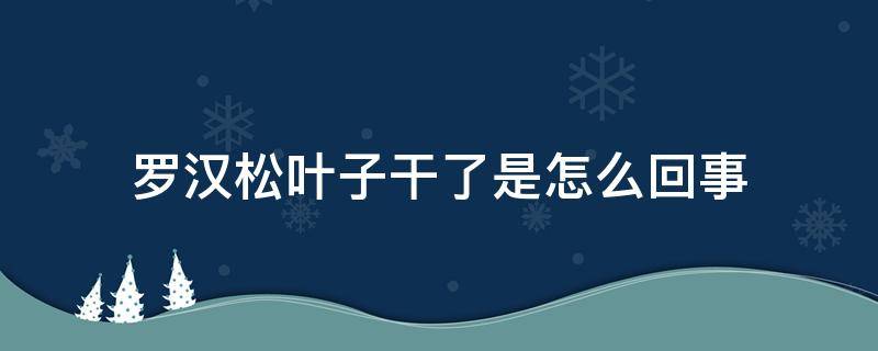 罗汉松叶子干了是怎么回事 罗汉松叶子发干是怎么回事