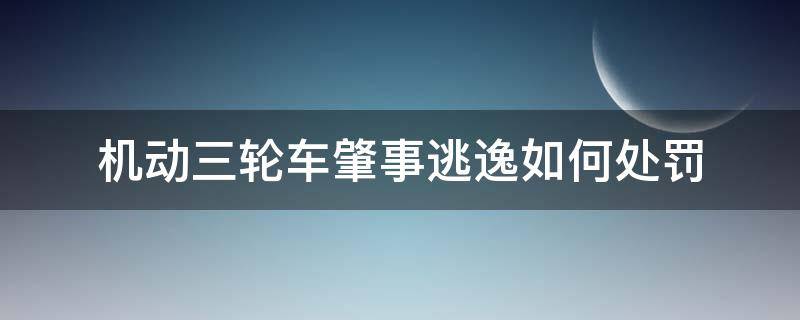 机动三轮车肇事逃逸如何处罚（三轮车肇事逃逸怎么判）