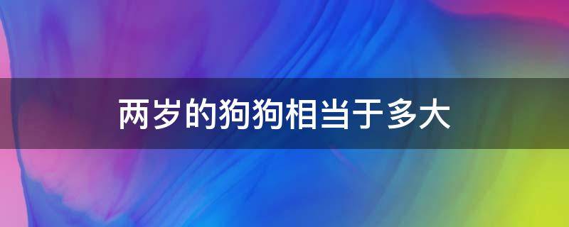 两岁的狗狗相当于多大（两岁的狗狗有多大）