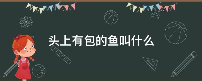 头上有包的鱼叫什么 头上有一个包鱼叫什么鱼