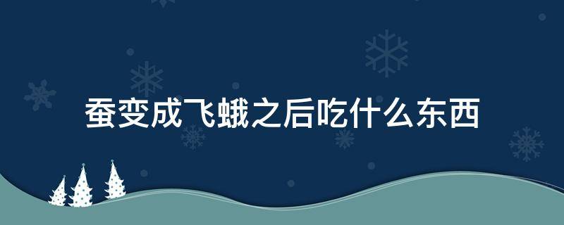 蚕变成飞蛾之后吃什么东西 蚕变成蛾子吃东西吗