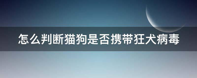 怎么判断猫狗是否携带狂犬病毒 被猫抓伤多少天过危险期