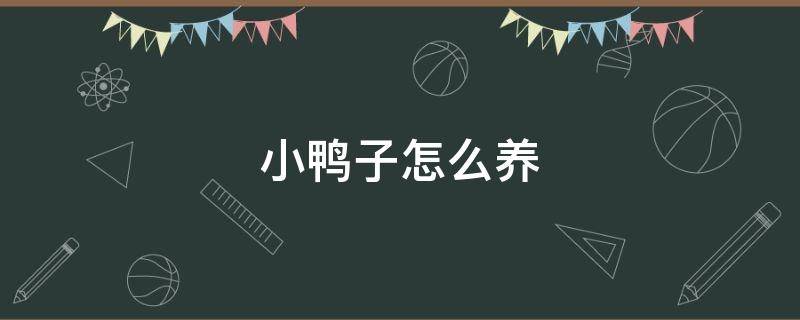 小鸭子怎么养 小鸭子怎么养成活率才大