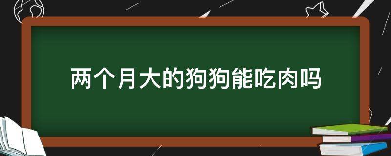 两个月大的狗狗能吃肉吗（两个月大的狗能不能吃肉）