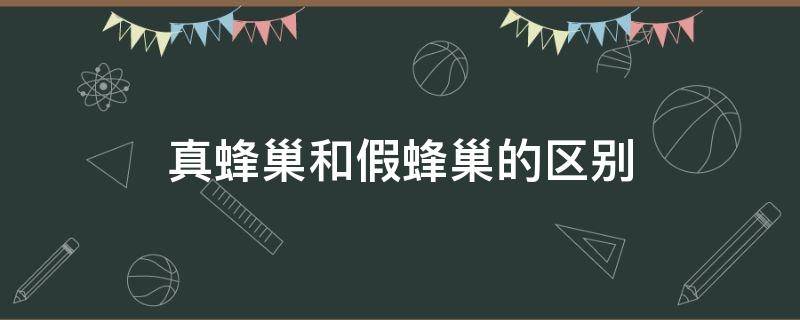 真蜂巢和假蜂巢的区别 蜂巢也有假的吗