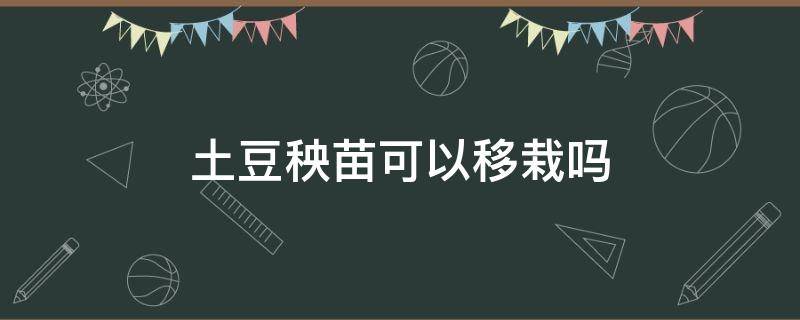 土豆秧苗可以移栽吗 土豆能育苗移栽吗