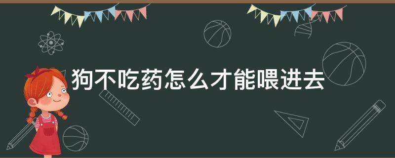 狗不吃药怎么才能喂进去 狗狗不吃药怎么喂药