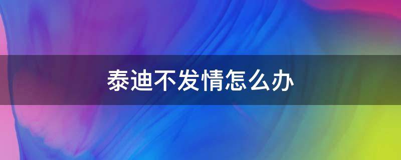 泰迪不发情怎么办（泰迪不发情怎么办呢）