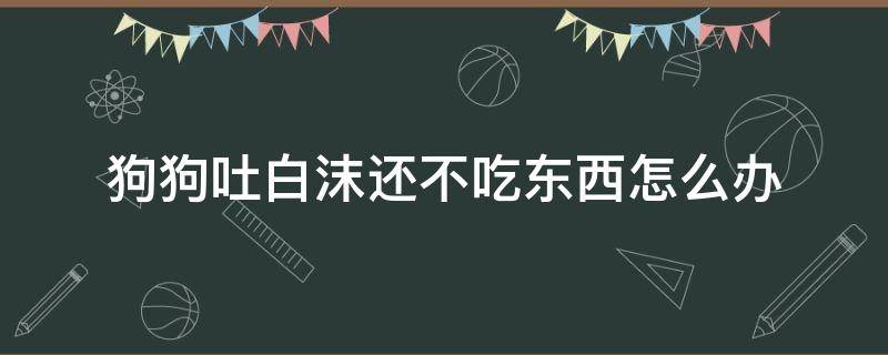 狗狗吐白沫还不吃东西怎么办（狗狗吐白沫不吃东西怎么回事）