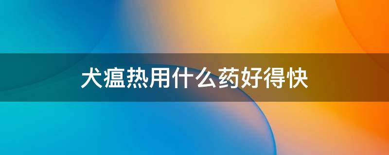 犬瘟热用什么药好得快 犬瘟热用什么消炎药