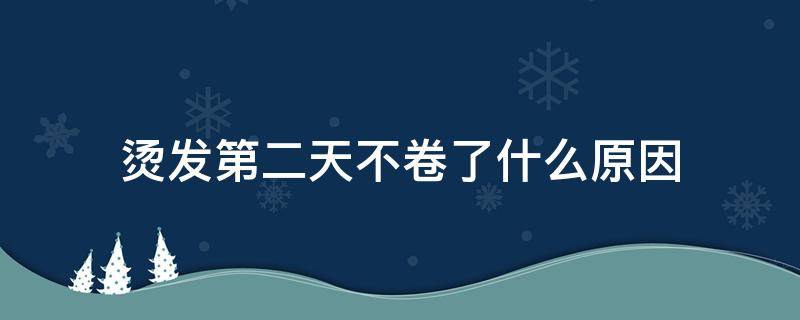 烫发第二天不卷了什么原因（烫发为什么第二天就不卷了）