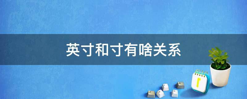 英寸和寸有啥关系 英寸和寸是一个概念吗