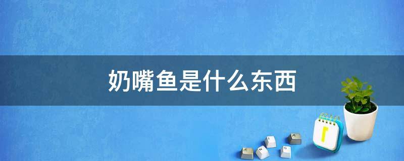 奶嘴鱼是什么东西 奶嘴鱼是什么?