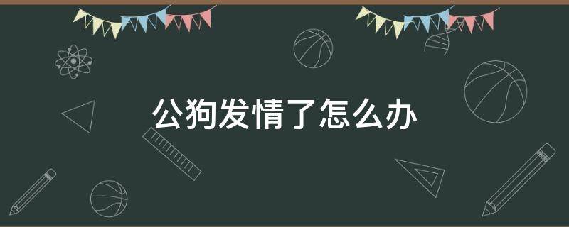 公狗发情了怎么办 狗狗老是抱大腿蹭需要阻止吗